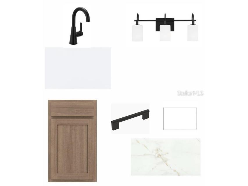2846 Soleta View Odessa FL 33556 TB8514505 image6