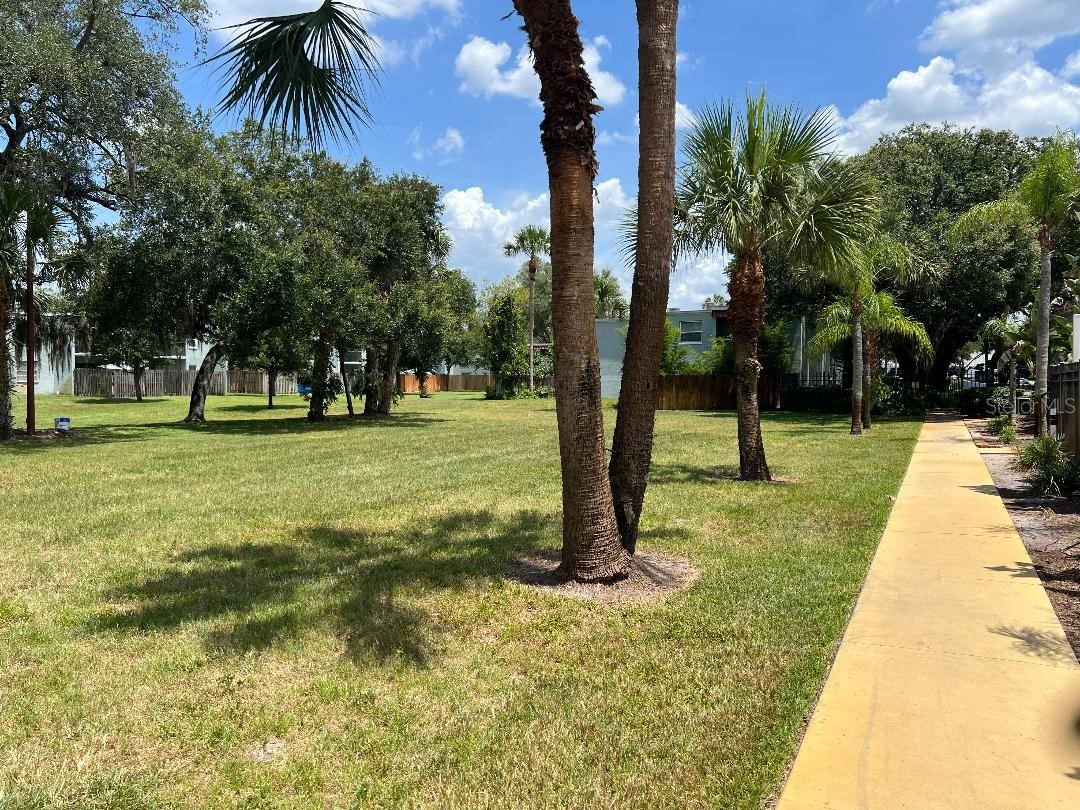 2846 Somerset Park Drive #201 Tampa FL 33613 TB8521204 image3