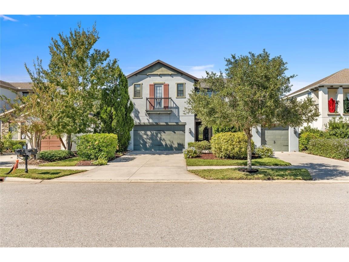 28463 Marsciano Lane Wesley Chapel FL 33543 T3474919 image1