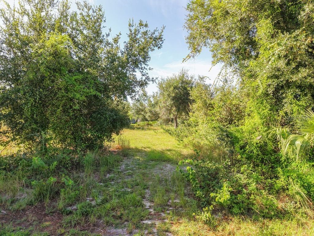 28474 Coco Palm Drive Punta Gorda FL 33982 C7514817 image22