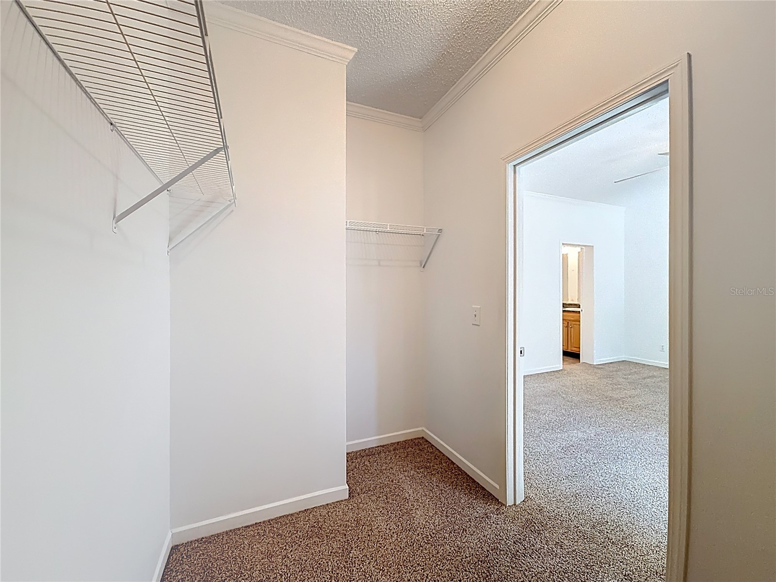 28477 Sentinel Street Nobleton FL 34661 TB8488827 image17