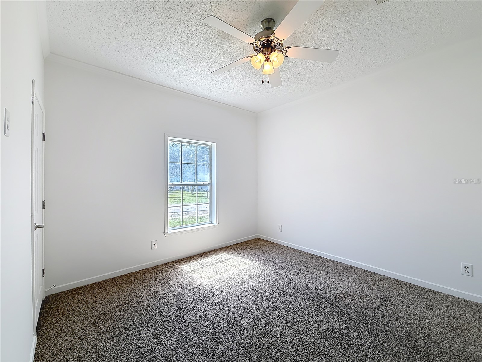 28477 Sentinel Street Nobleton FL 34661 TB8488827 image24