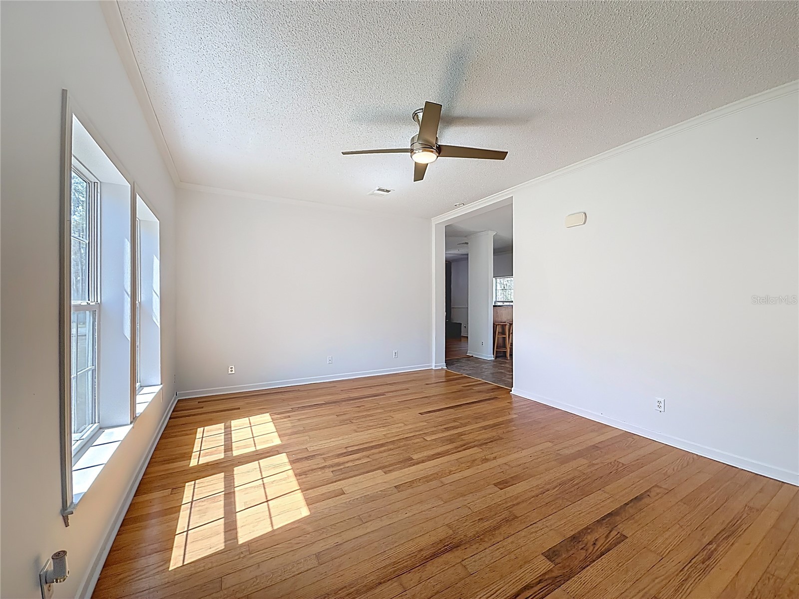 28477 Sentinel Street Nobleton FL 34661 TB8488827 image7