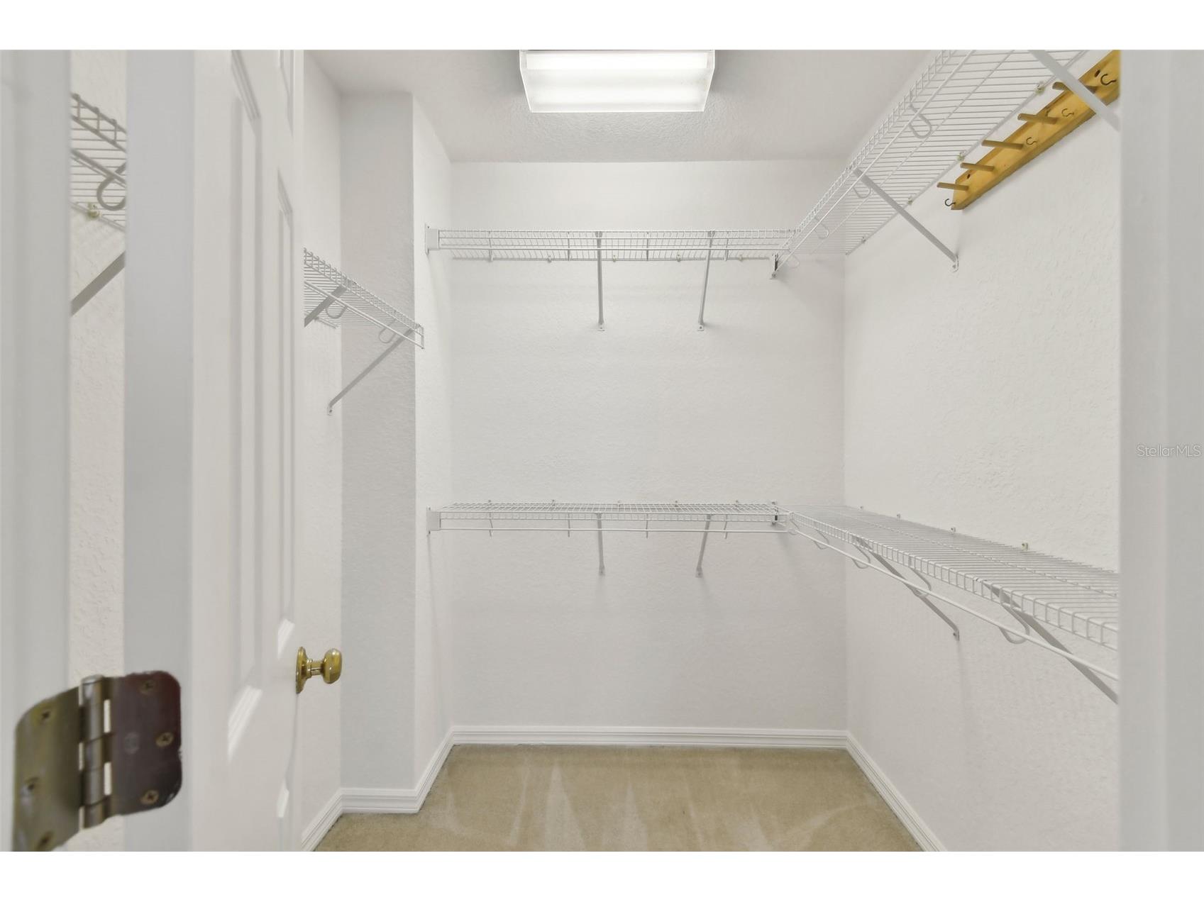 2848 Bayshore Trails Drive Tampa FL 33611 U8245920 image20