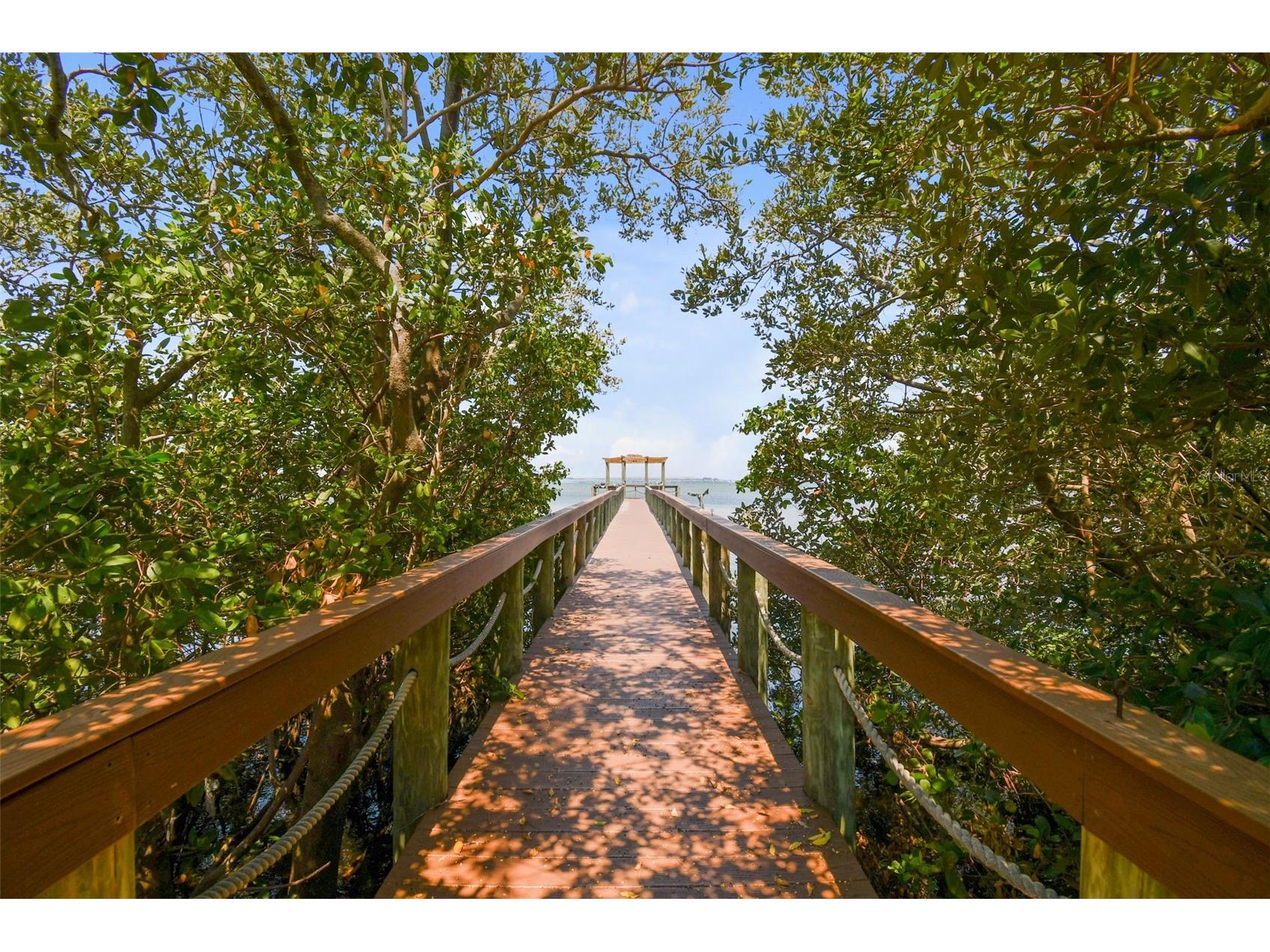 2848 Bayshore Trails Drive Tampa FL 33611 U8245920 image29