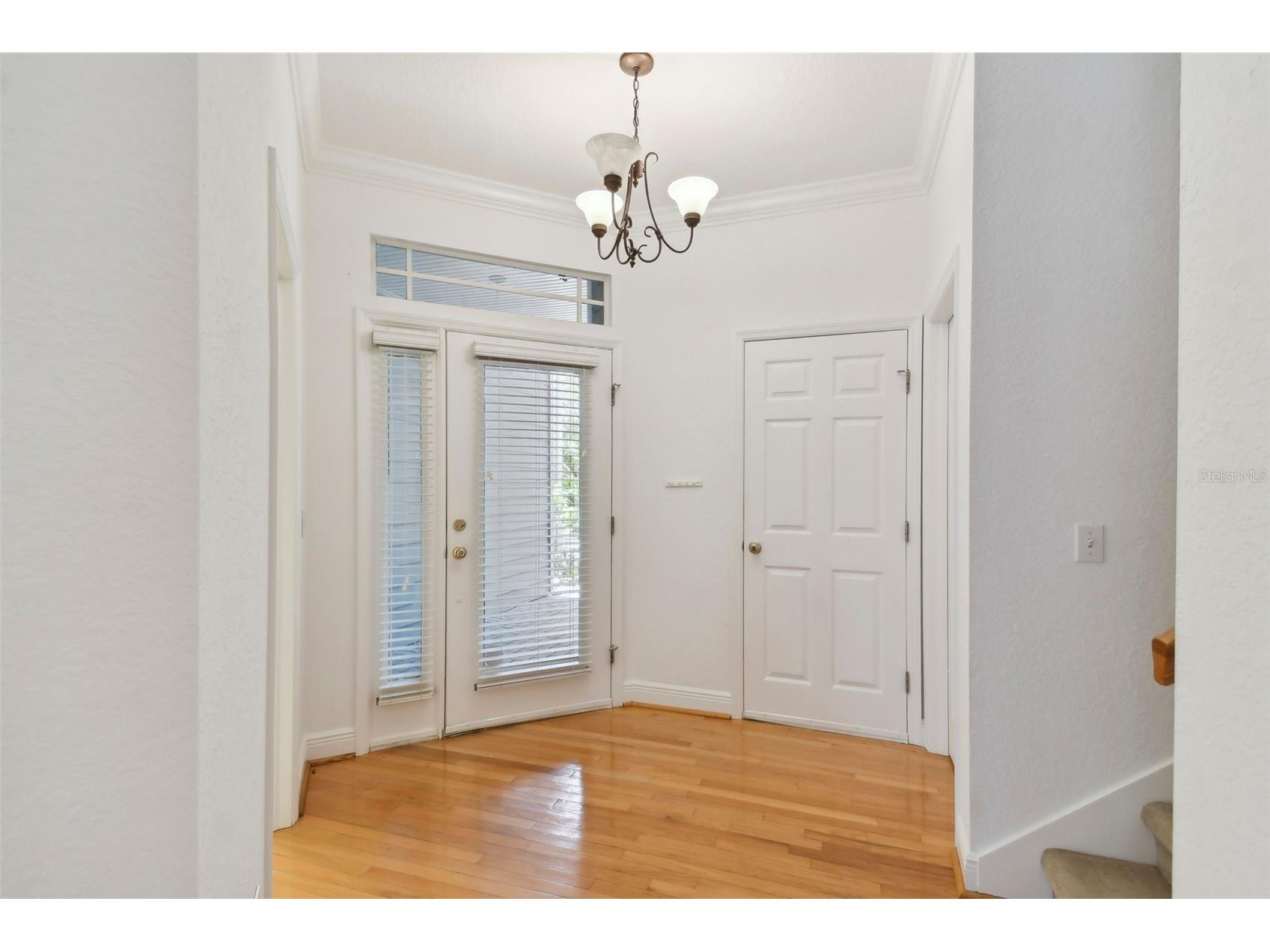 2848 Bayshore Trails Drive Tampa FL 33611 U8245920 image5