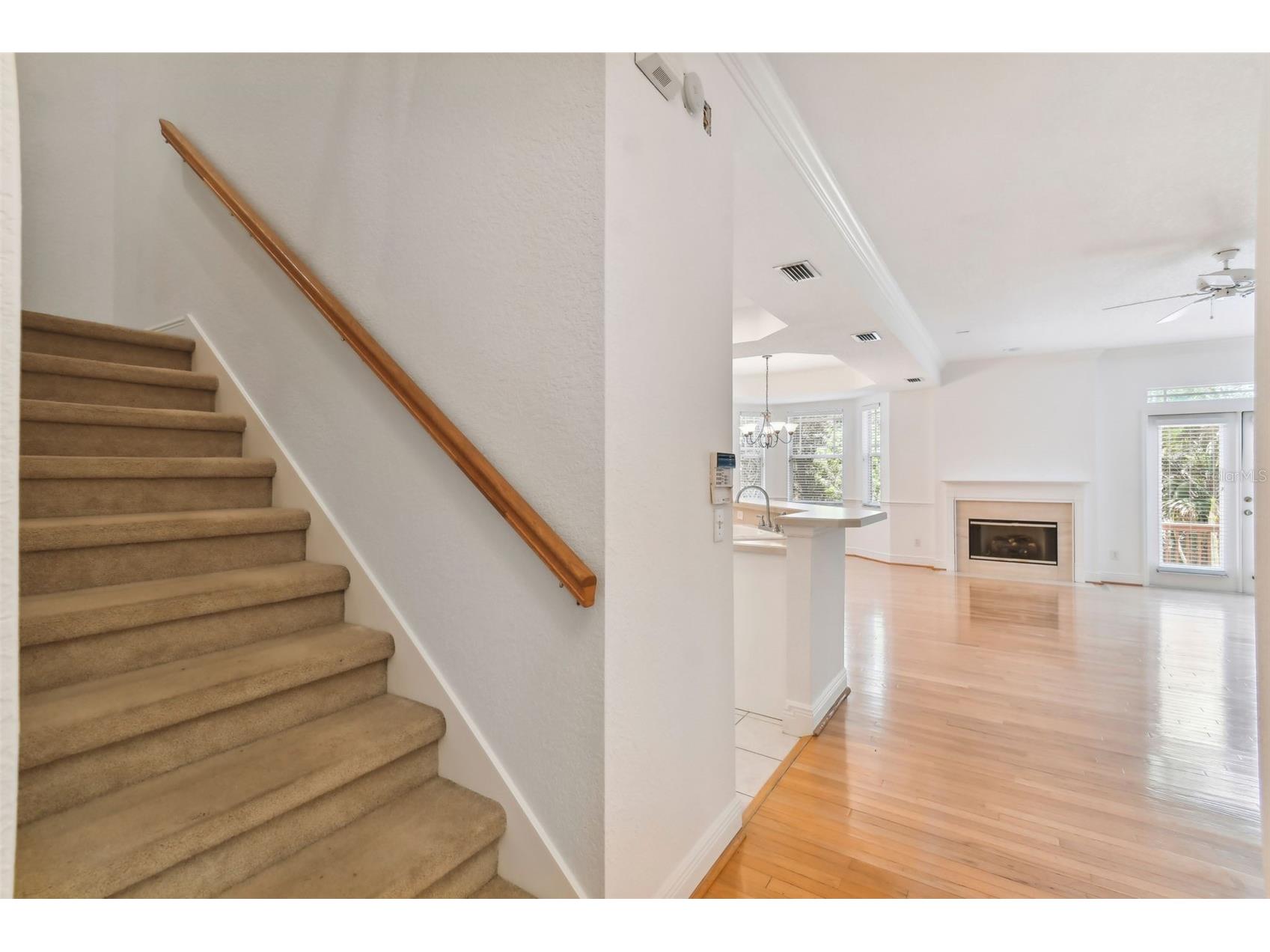 2848 Bayshore Trails Drive Tampa FL 33611 U8245920 image7