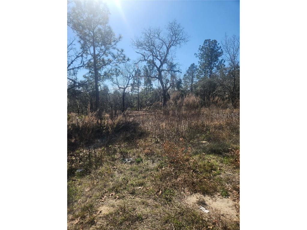 2848 W Buccaneer Lane Citrus Springs FL 34433 TB8326842 image1