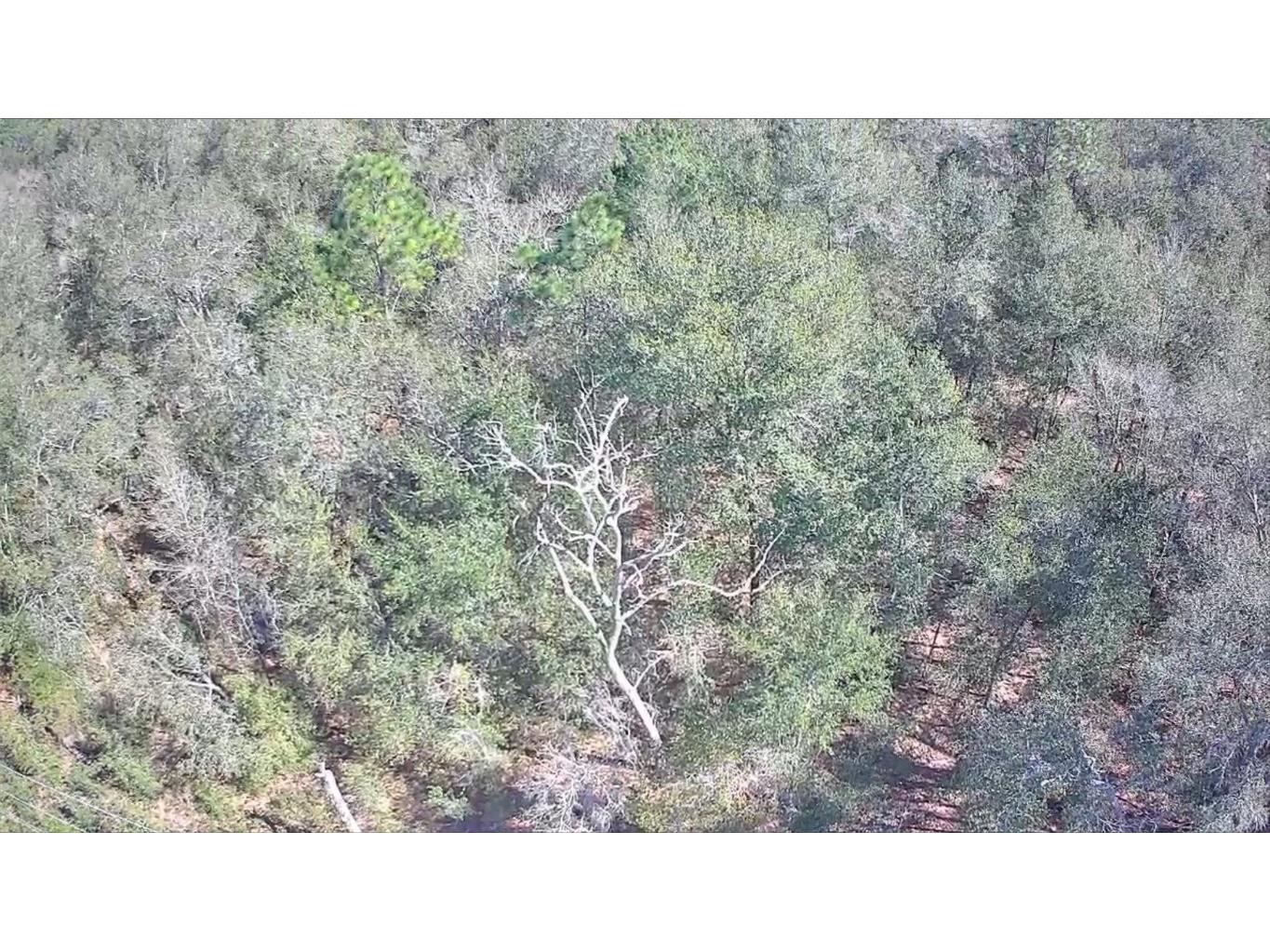 2848 W Buccaneer Lane Citrus Springs FL 34433 TB8326842 image4