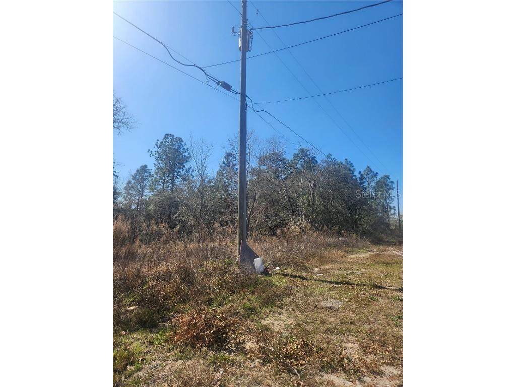 2848 W Buccaneer Lane Citrus Springs FL 34433 TB8326842 image5