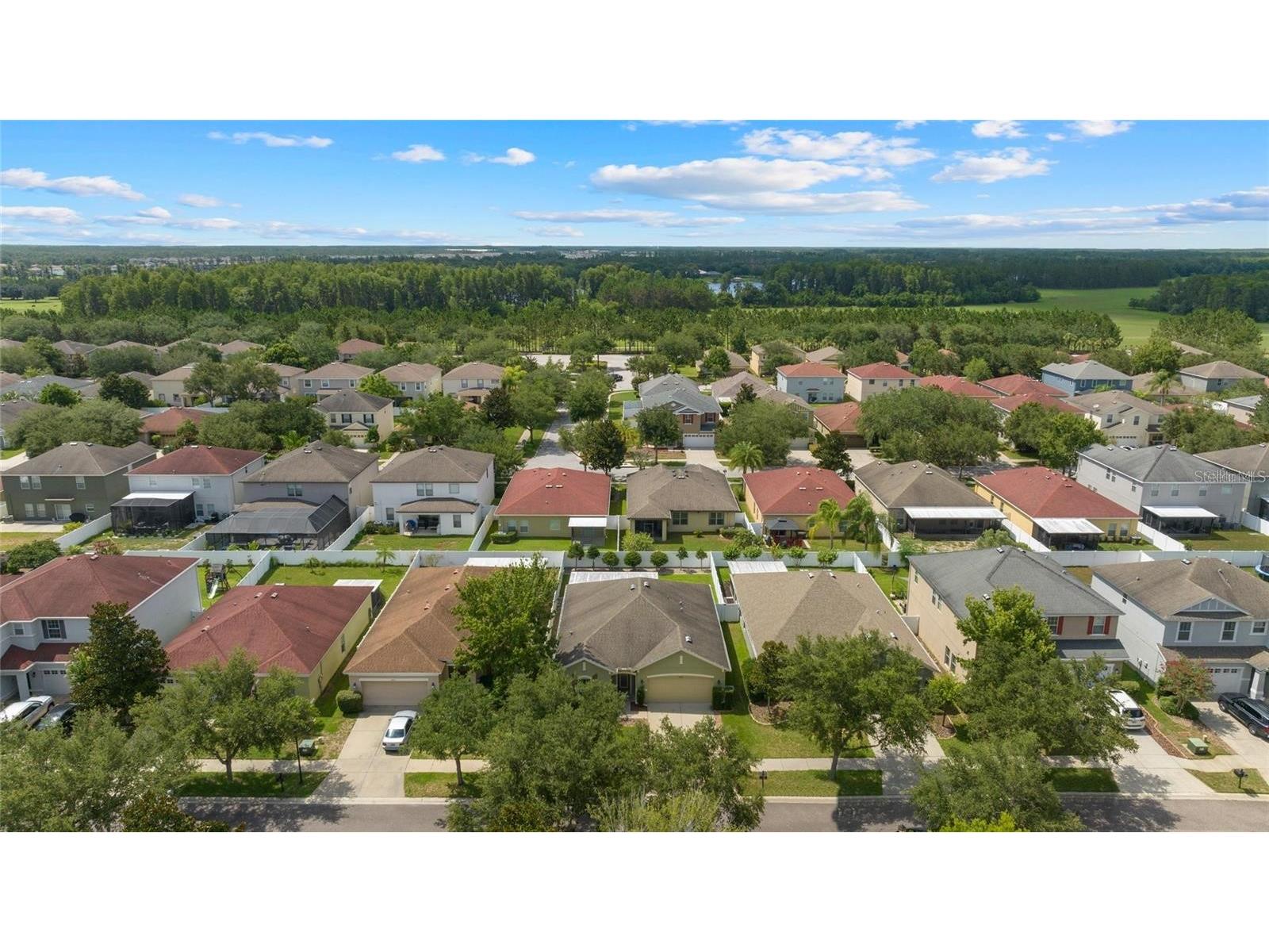 2849 Maple Brook Loop Lutz FL 33558 TB8464230 image31
