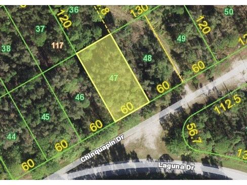 28492 Chinquapin Drive Punta Gorda FL 33955 S5050871 image1