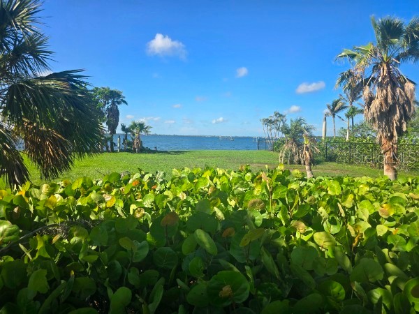 285 Horseshoe Loop Road Terra Ceia FL 34250 A4648773 image13