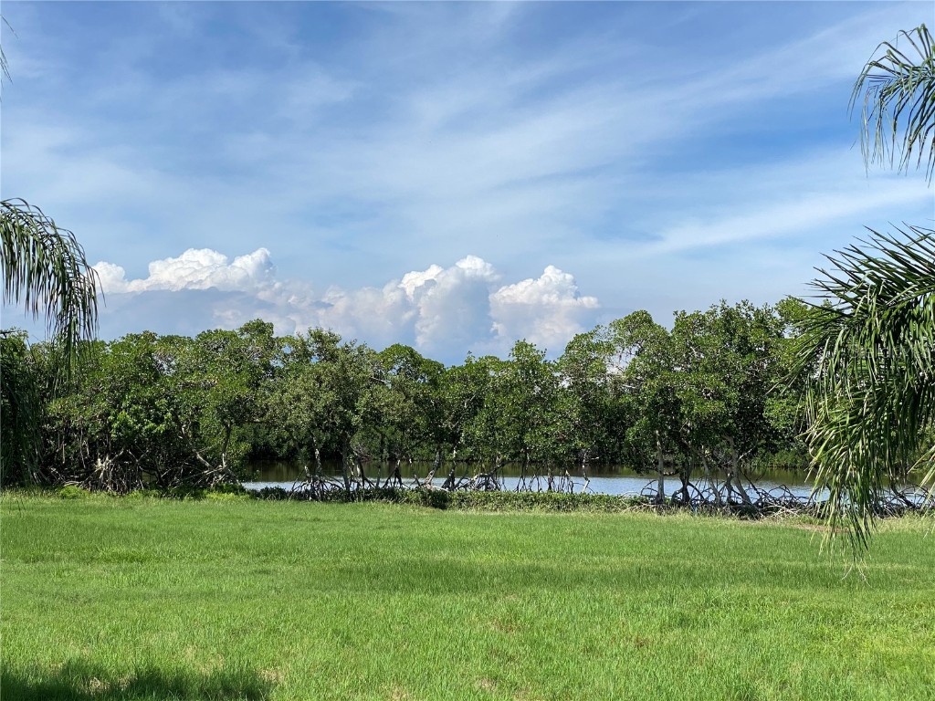 285 Horseshoe Loop Road Terra Ceia FL 34250 A4648773 image16