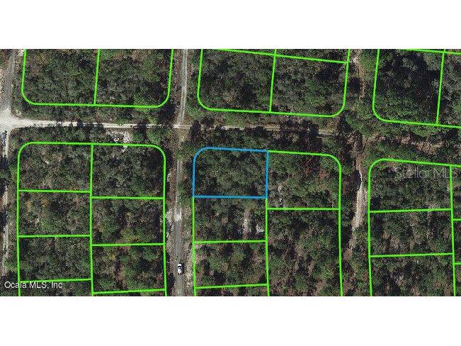 285 Imagination Drive Lake Placid FL 33852 OM542058 image1