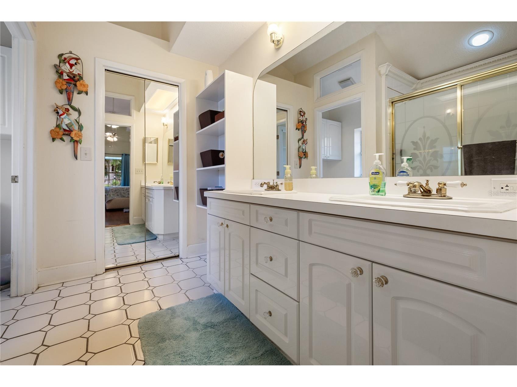 285 Lakeview Drive Tarpon Springs FL 34689 - LAKE TARPON TB8519274 image19