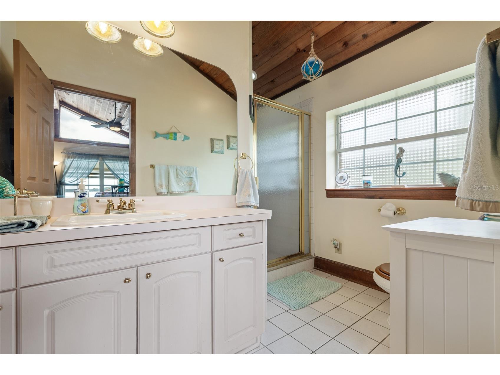 285 Lakeview Drive Tarpon Springs FL 34689 - LAKE TARPON TB8519274 image22