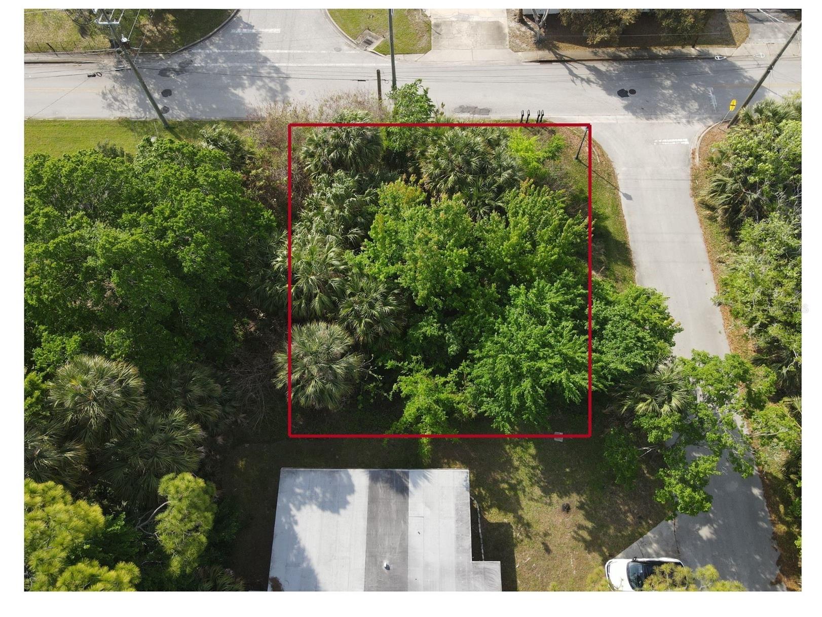 285 Lincoln Avenue Ormond Beach FL 32174 O6393578 image2