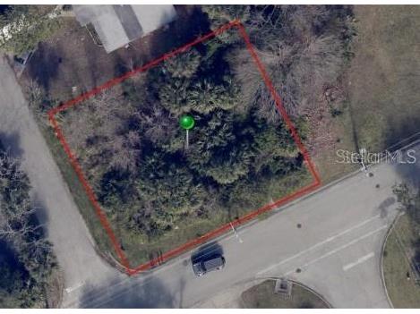 285 Lincoln Avenue Ormond Beach FL 32174 O6393578 image3