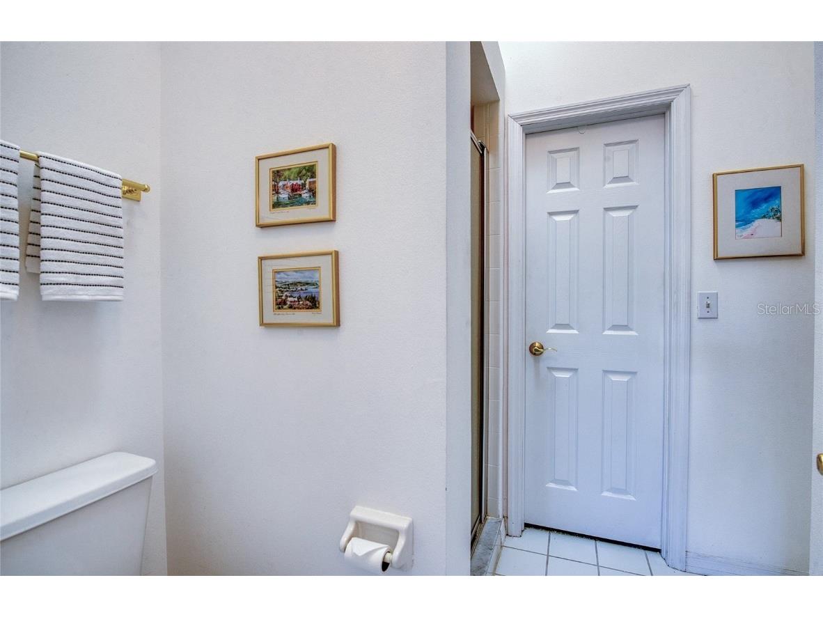 285 Madeira Circle Tierra Verde FL 33715 - TAMPA BAY TB8443744 image37