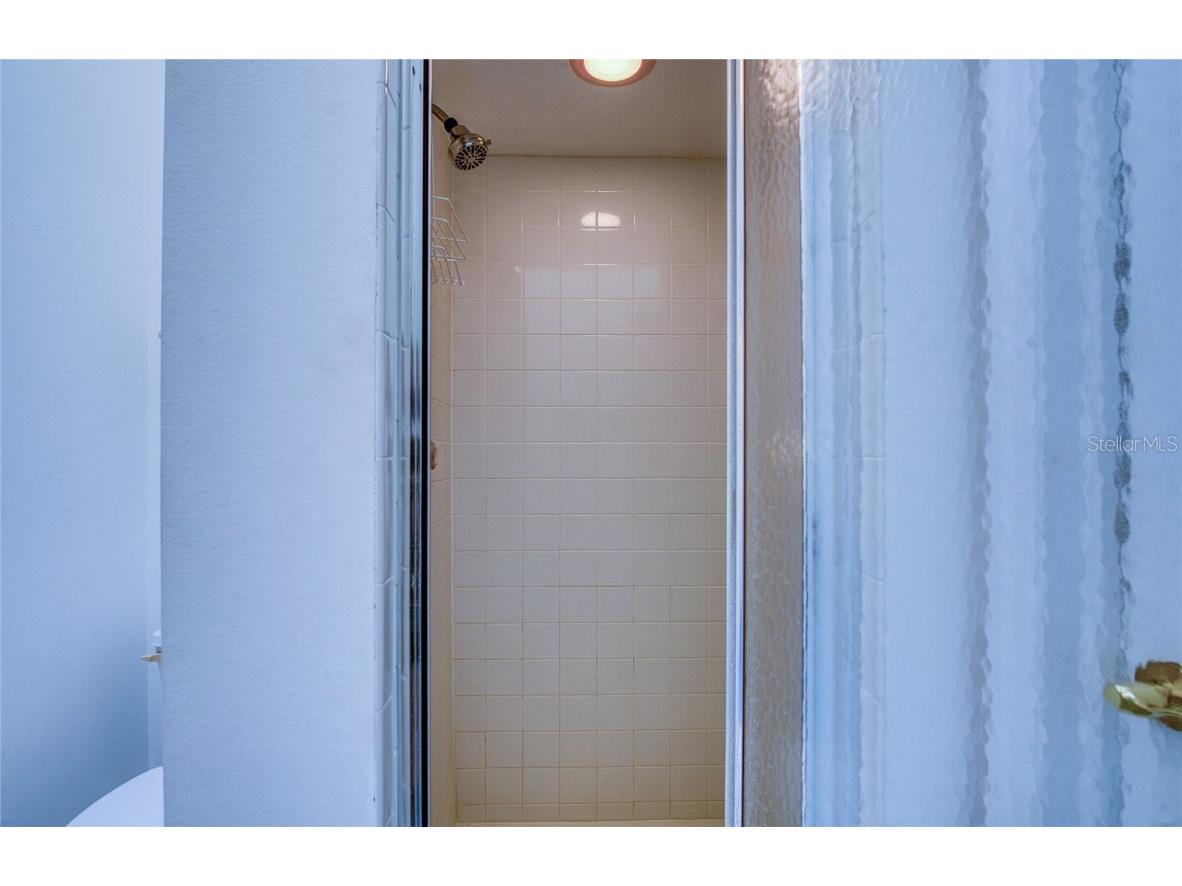 285 Madeira Circle Tierra Verde FL 33715 - TAMPA BAY TB8443744 image38