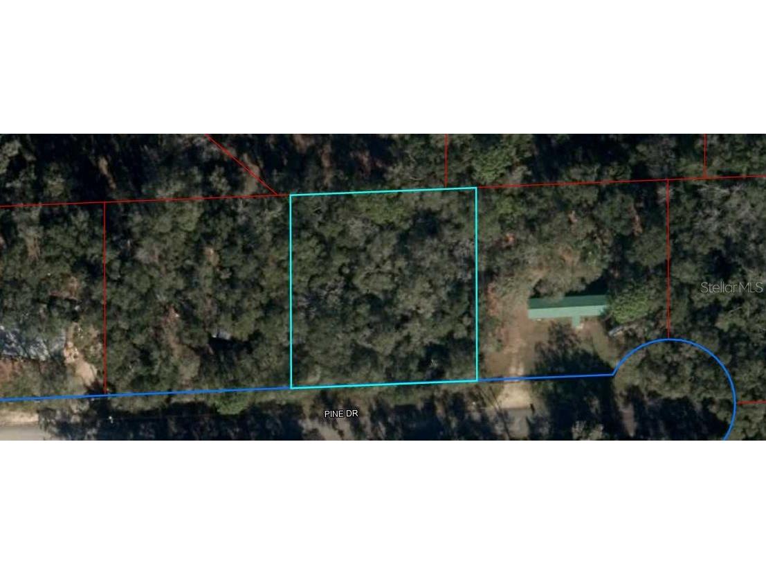 285 Pine Drive Bronson FL 32621 OM678397 image1