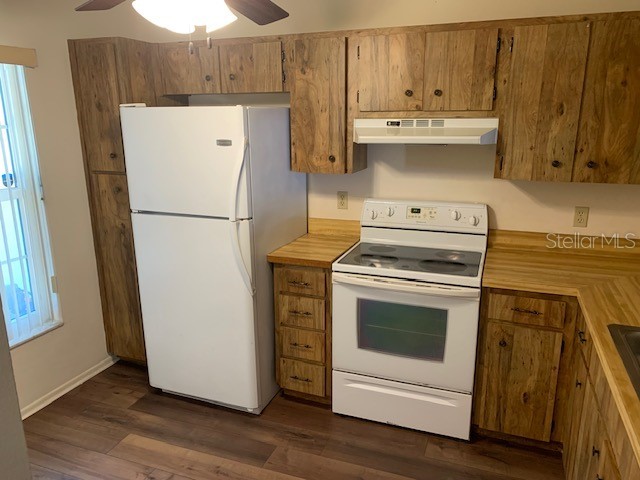 285 Rogers Court Safety Harbor FL 34695 TB8503071 image3