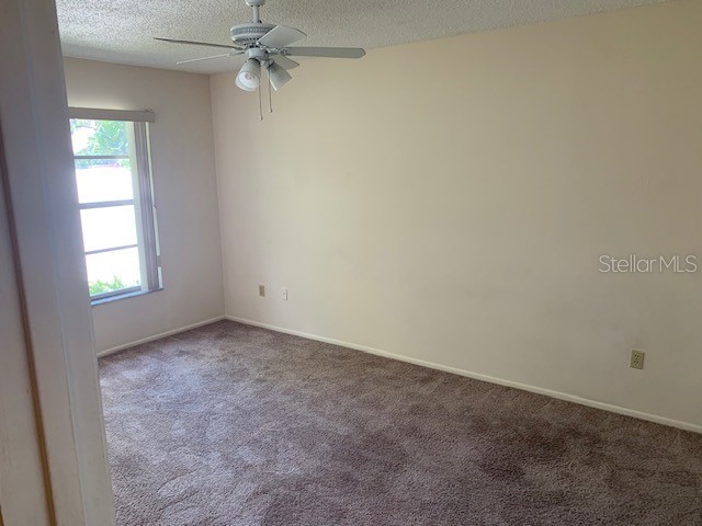 285 Rogers Court Safety Harbor FL 34695 TB8503071 image8