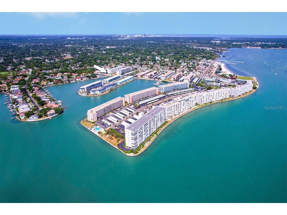 2850 59th Street S #215 Gulfport FL 33707 U8242064 image1