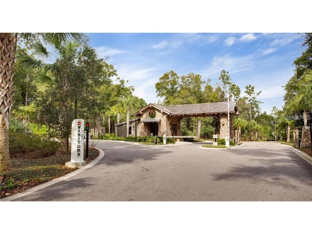 2850 Alder Berry Boulevard Ocoee FL 34761 O6382304 image41