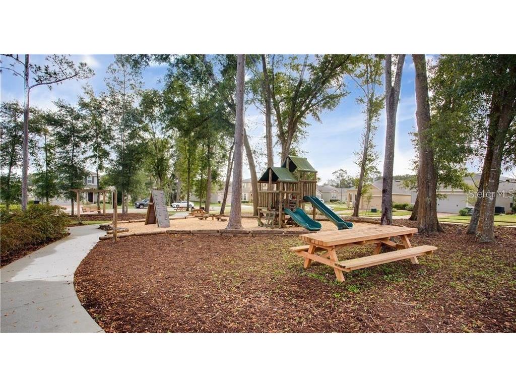 2850 Alder Berry Boulevard Ocoee FL 34761 O6382304 image42