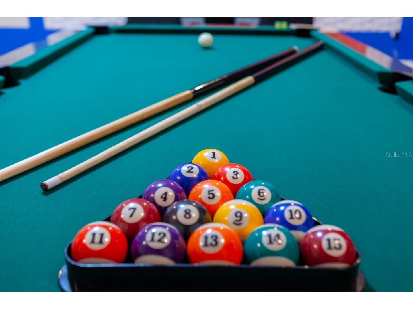 2850 Bookmark Drive Kissimmee FL 34746 O6322300 image53