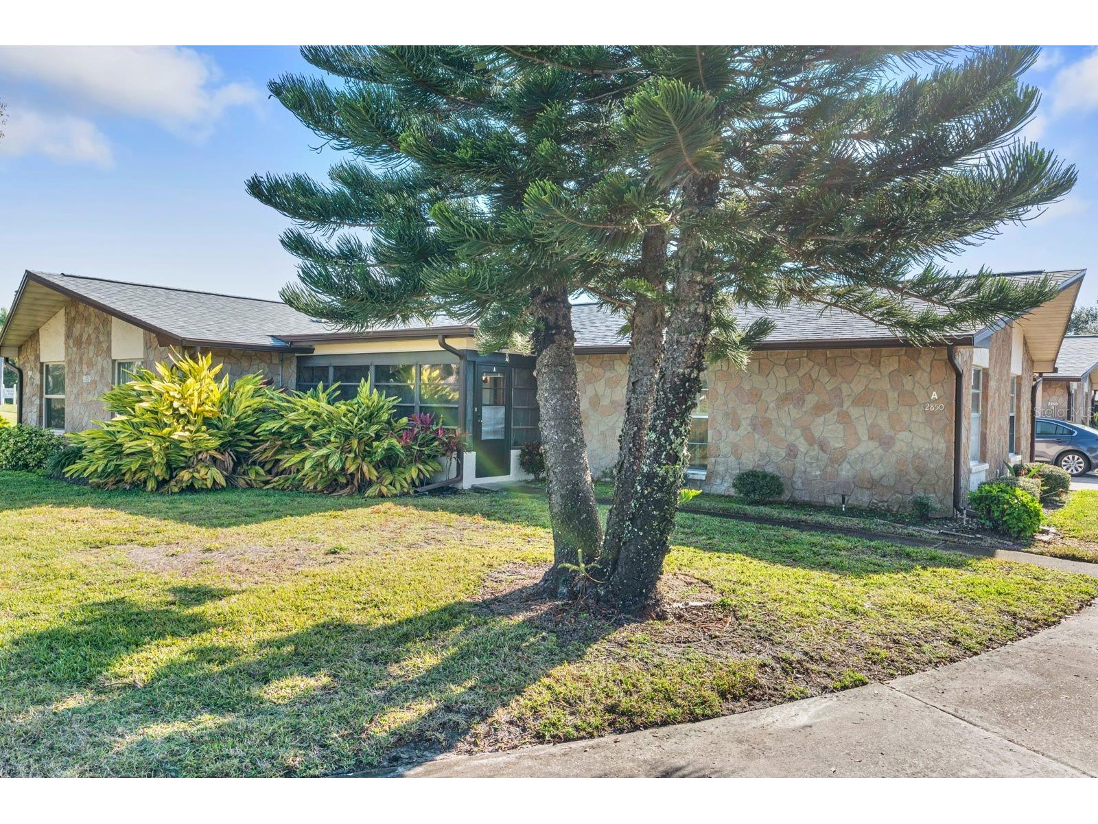 2850 Highlands Boulevard #A Palm Harbor FL 34684 TB8465261 image2