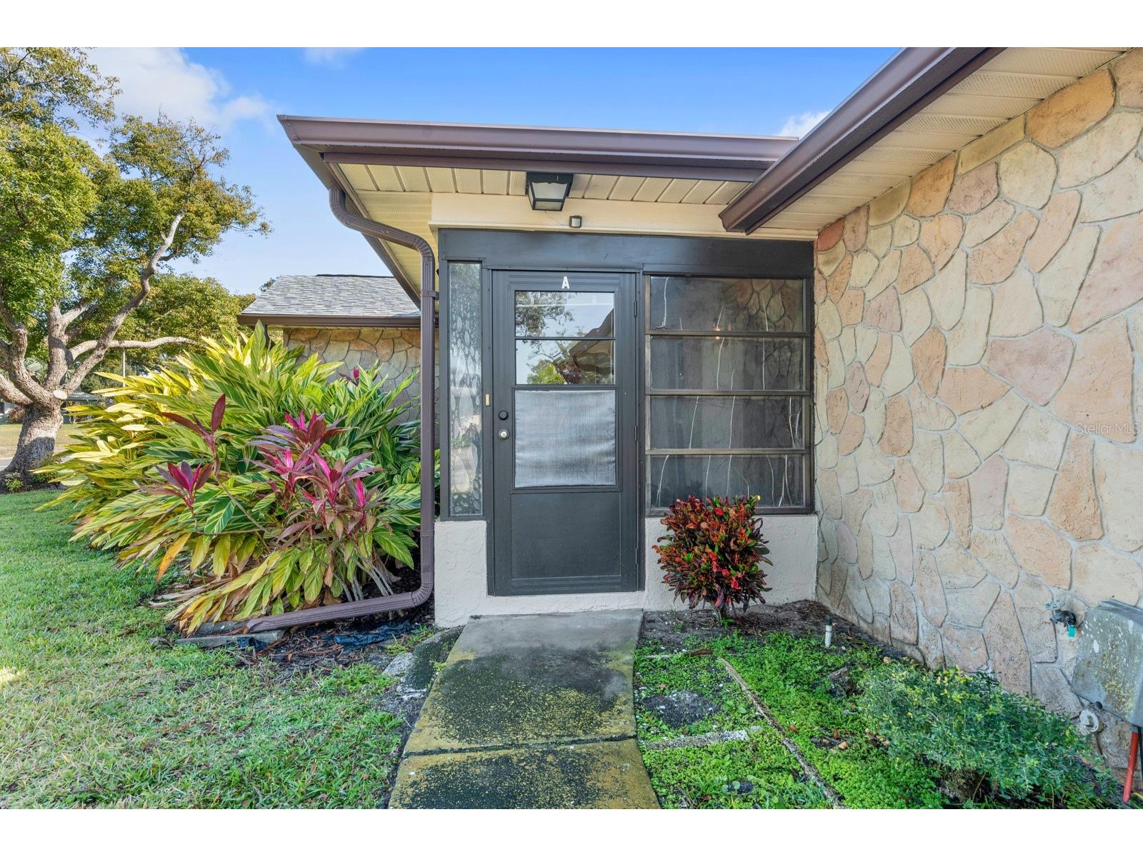 2850 Highlands Boulevard #A Palm Harbor FL 34684 TB8465261 image3