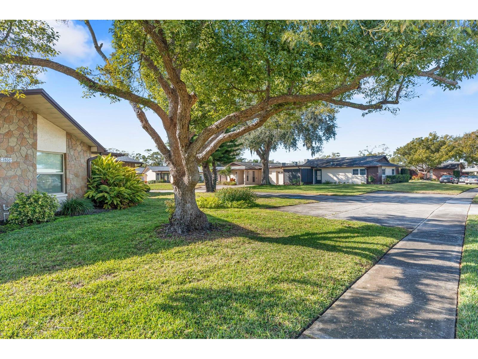 2850 Highlands Boulevard #A Palm Harbor FL 34684 TB8465261 image35