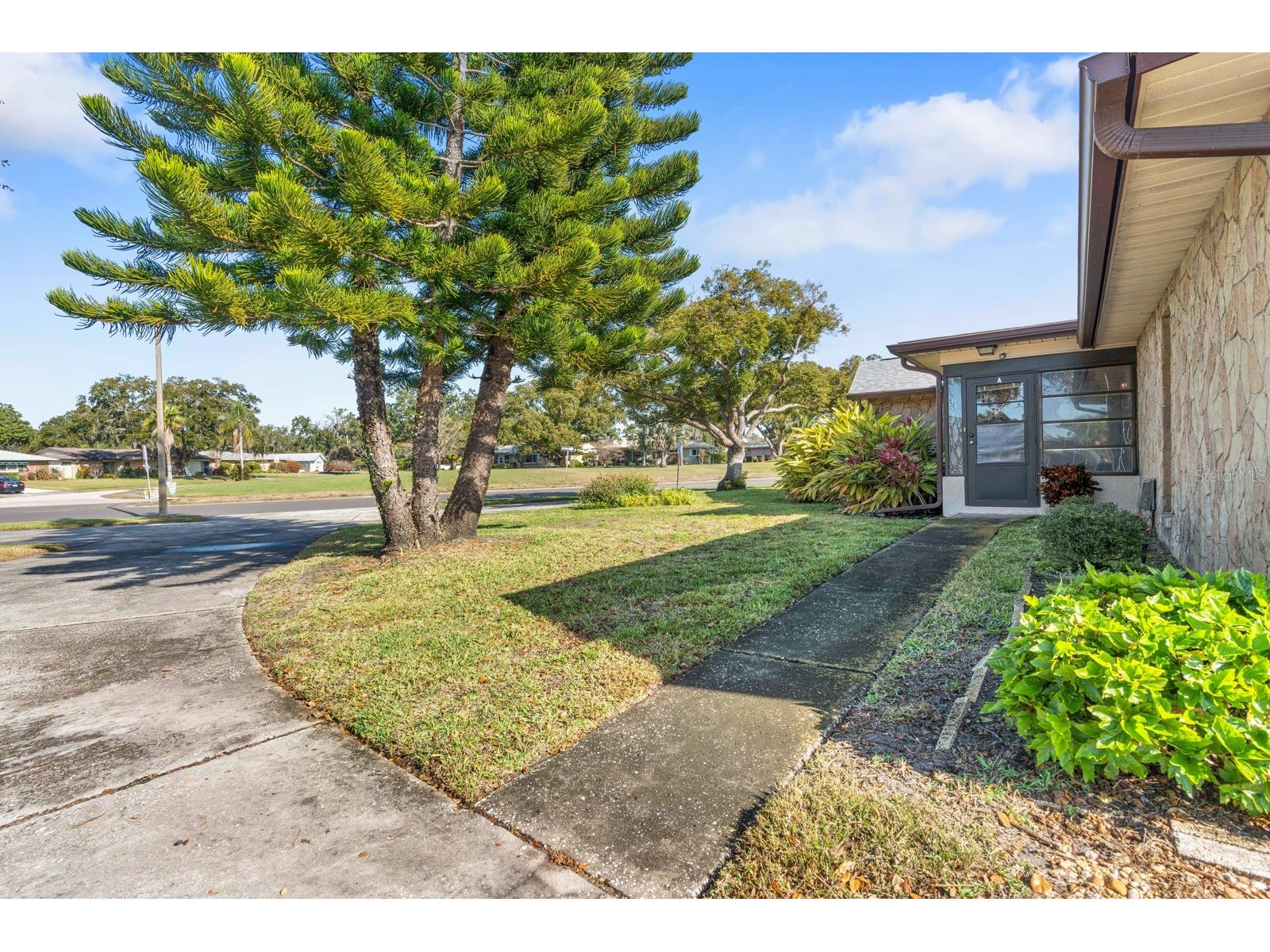 2850 Highlands Boulevard #A Palm Harbor FL 34684 TB8465261 image36