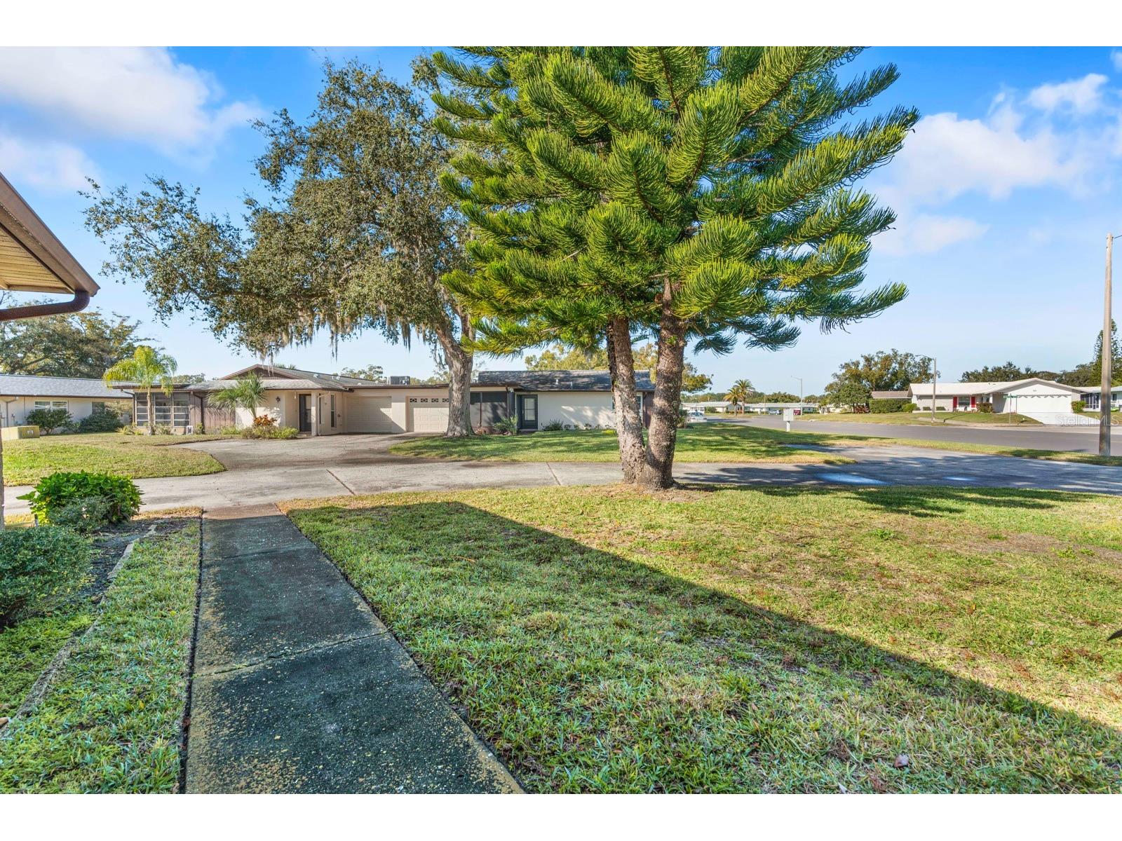 2850 Highlands Boulevard #A Palm Harbor FL 34684 TB8465261 image37