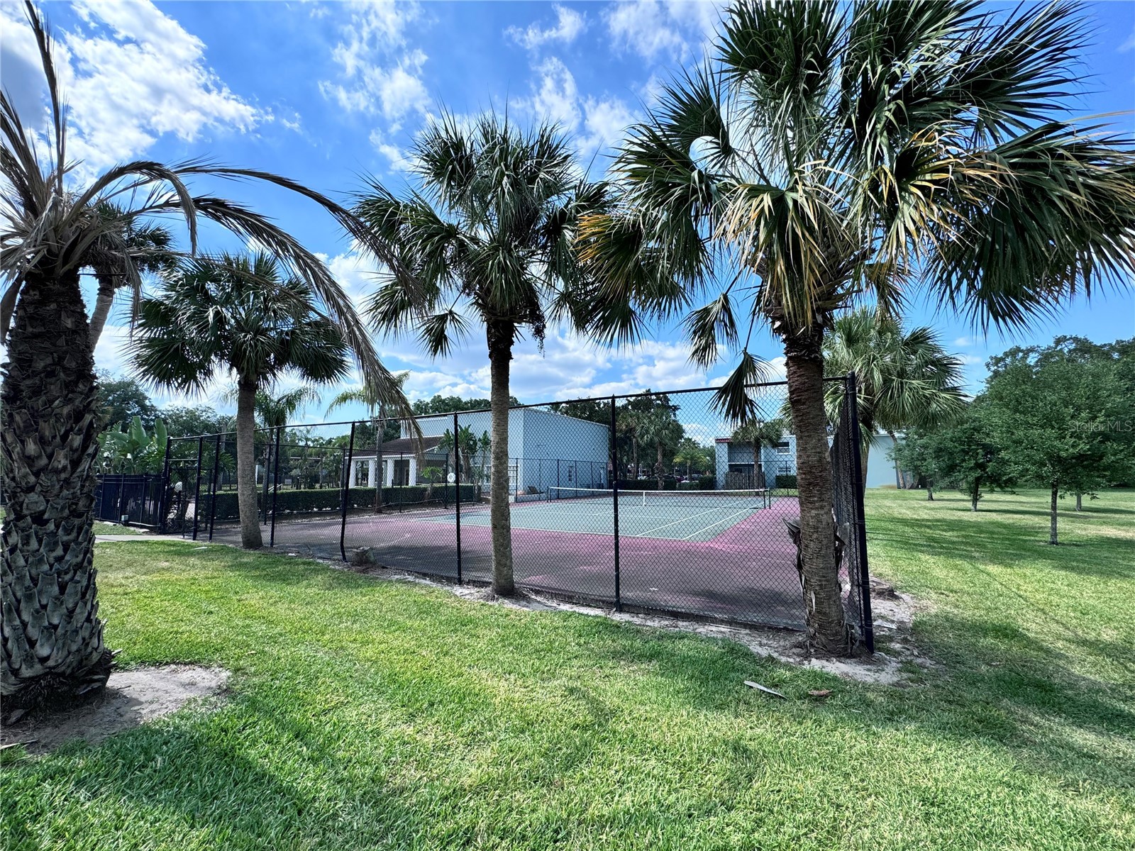 2850 Somerset Park Drive #201 Tampa FL 33613 O6390322 image24