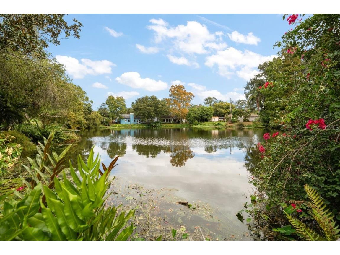 2850 Spring Lake Drive Clearwater FL 33759 TB8430383 image27