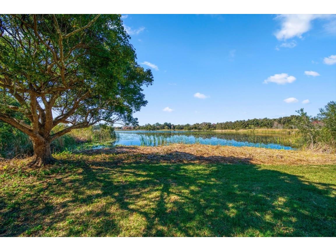 2850 Sunstream Lane, Clearwater, FL, 33759 MLS U8236338 Edina Realty