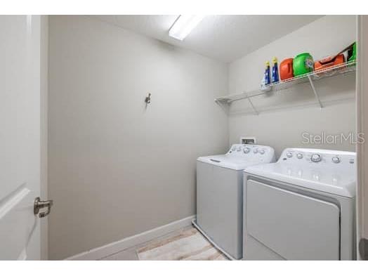 28504 Tranquil Lake Circle Wesley Chapel FL 33543 TB8396462 image11