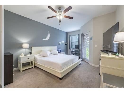 28504 Tranquil Lake Circle Wesley Chapel FL 33543 TB8396462 image12