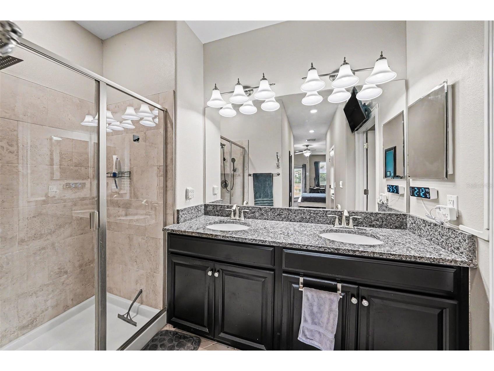 28504 Tranquil Lake Circle Wesley Chapel FL 33543 TB8511366 image19