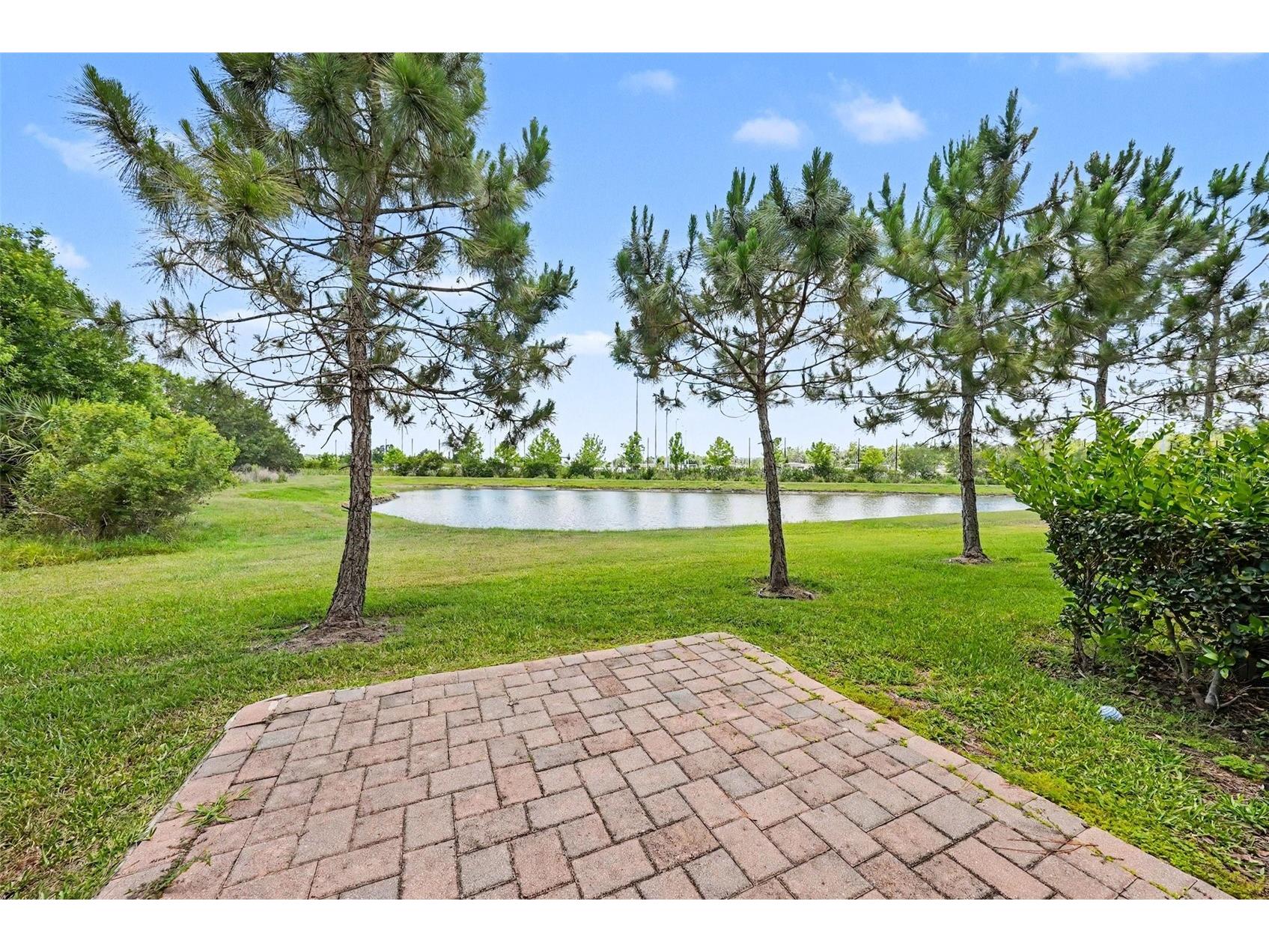 28504 Tranquil Lake Circle Wesley Chapel FL 33543 TB8511366 image2