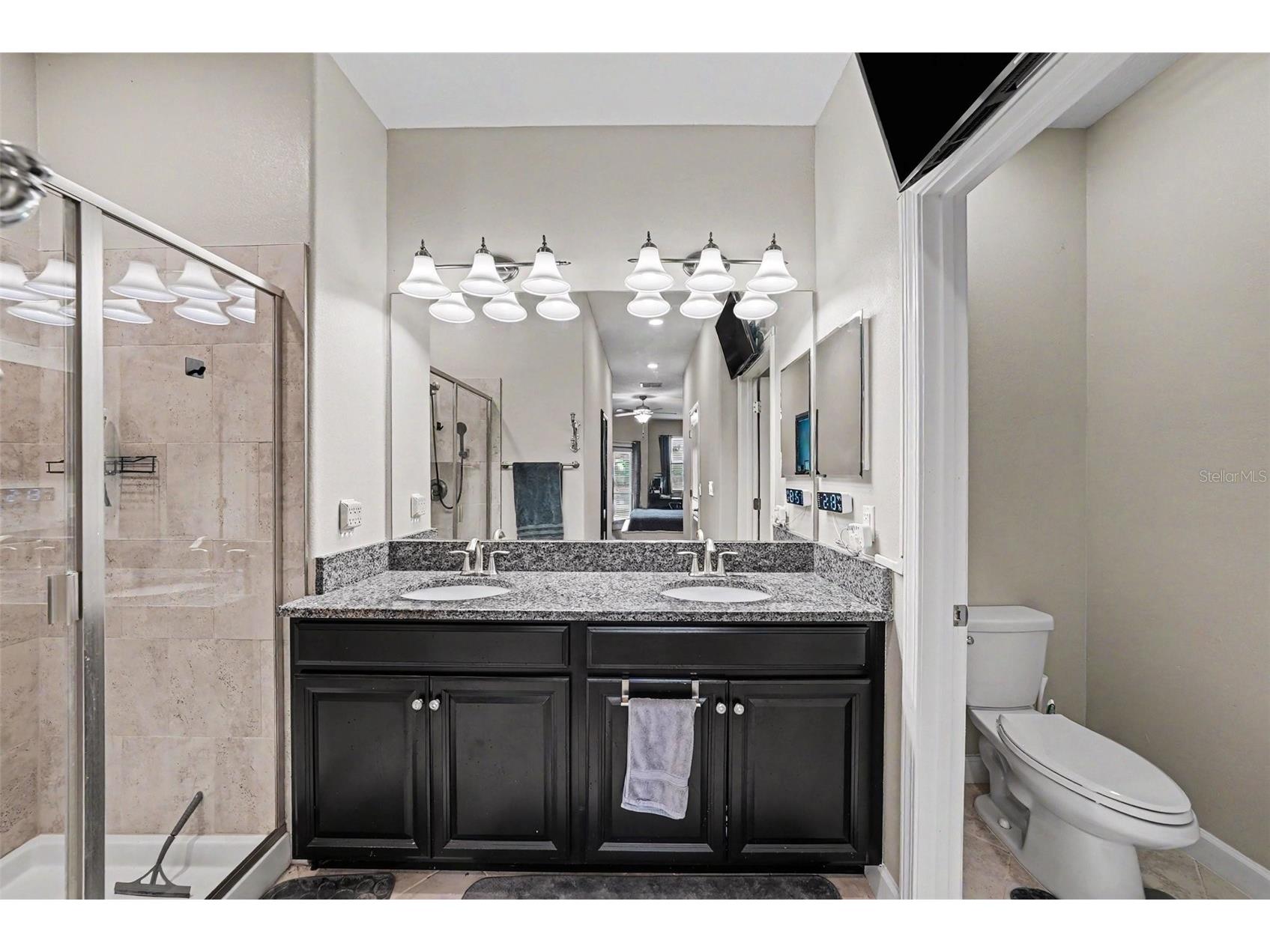 28504 Tranquil Lake Circle Wesley Chapel FL 33543 TB8511366 image20