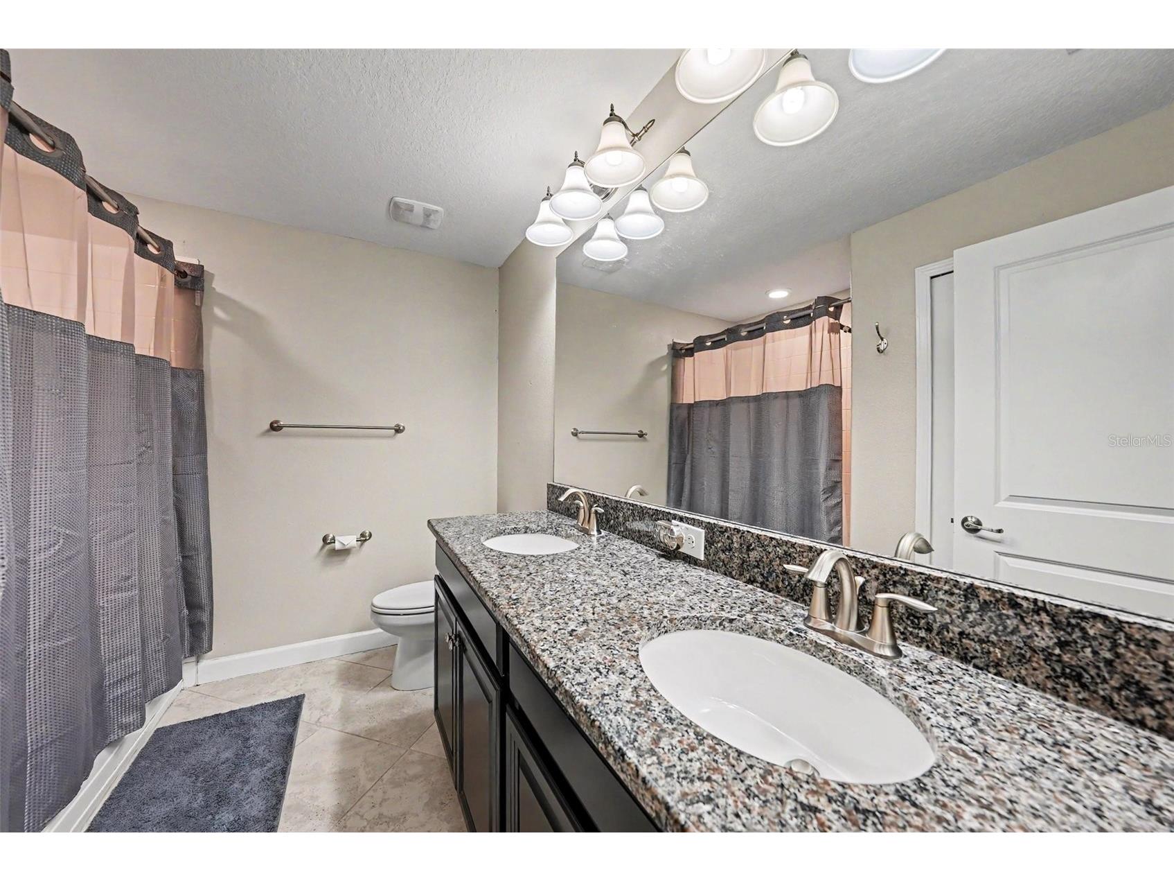 28504 Tranquil Lake Circle Wesley Chapel FL 33543 TB8511366 image21