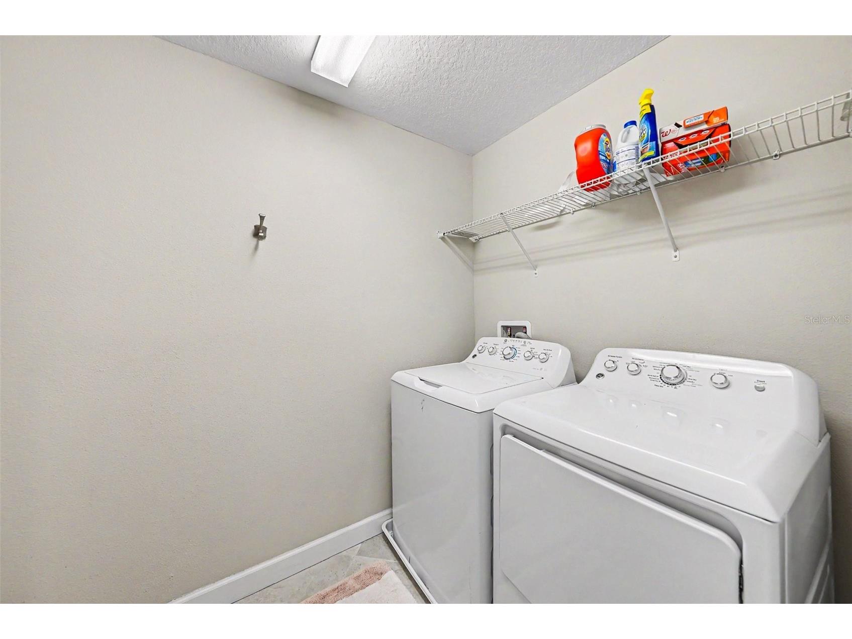 28504 Tranquil Lake Circle Wesley Chapel FL 33543 TB8511366 image23