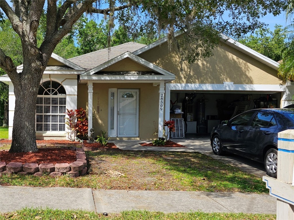 28509 Meadowrush Way Wesley Chapel FL 33543 T3517310 image1