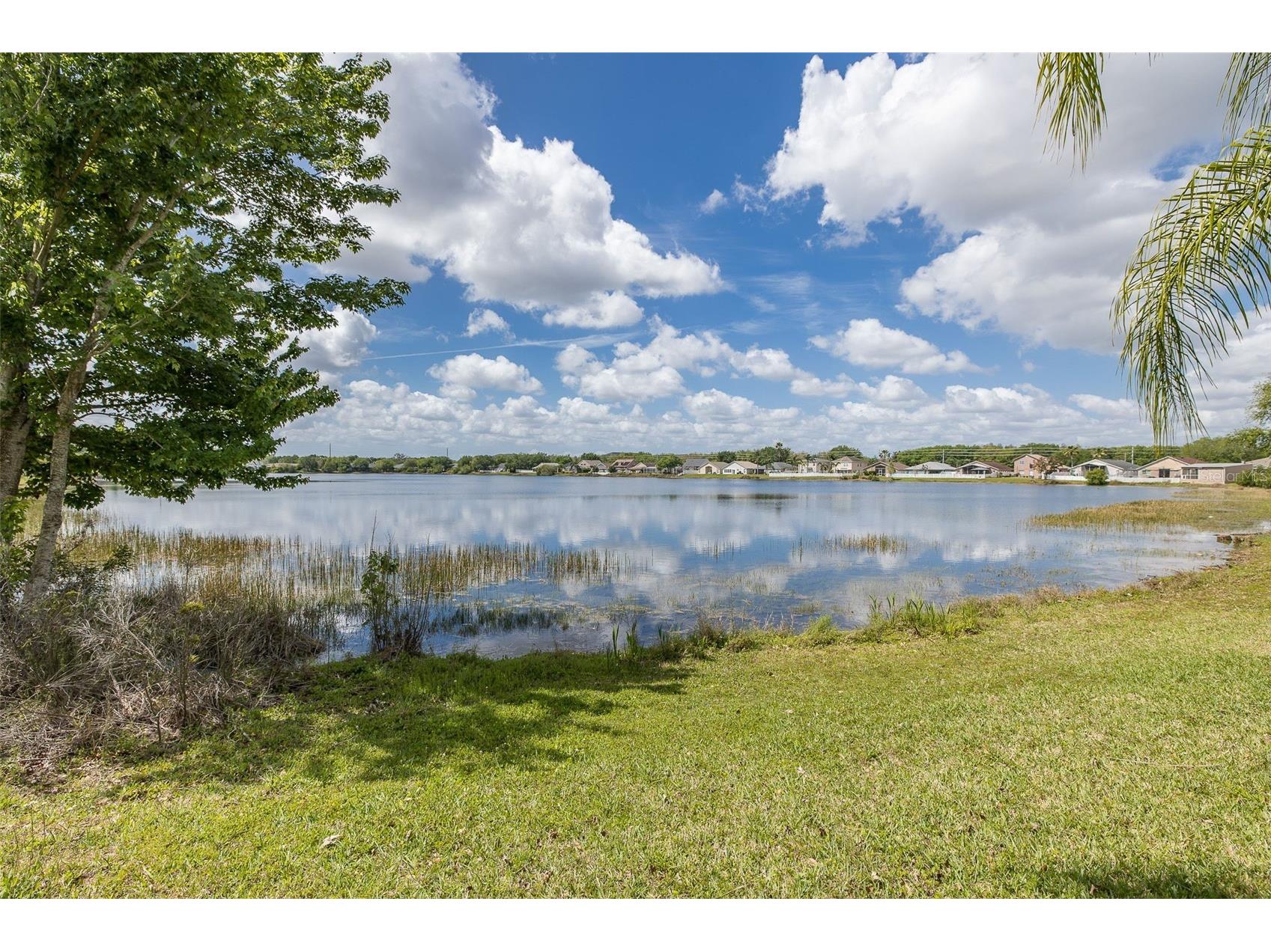 2851 Butterfly Landing Drive Land O Lakes FL 34638 W7884410 image46