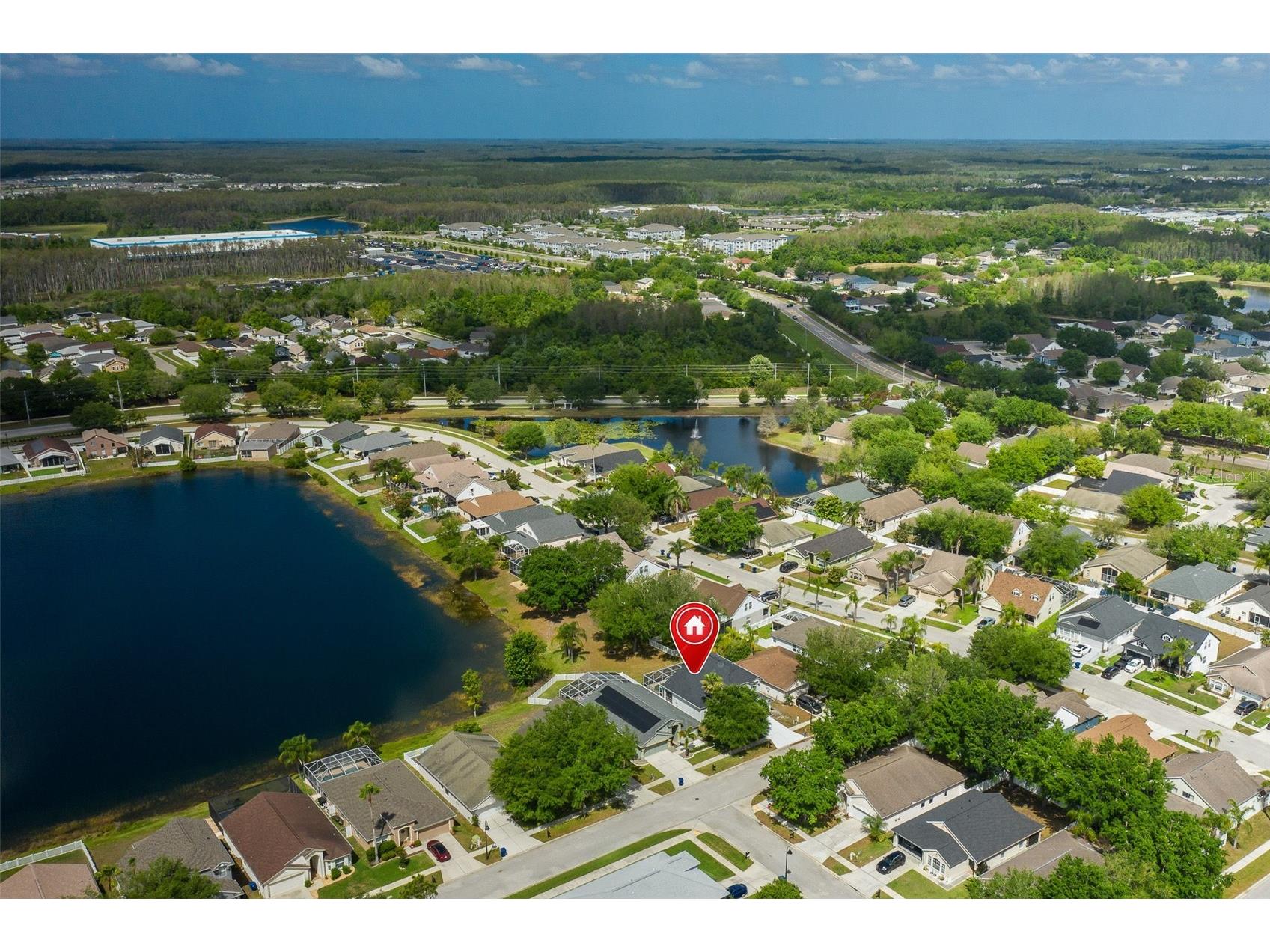 2851 Butterfly Landing Drive Land O Lakes FL 34638 W7884410 image61